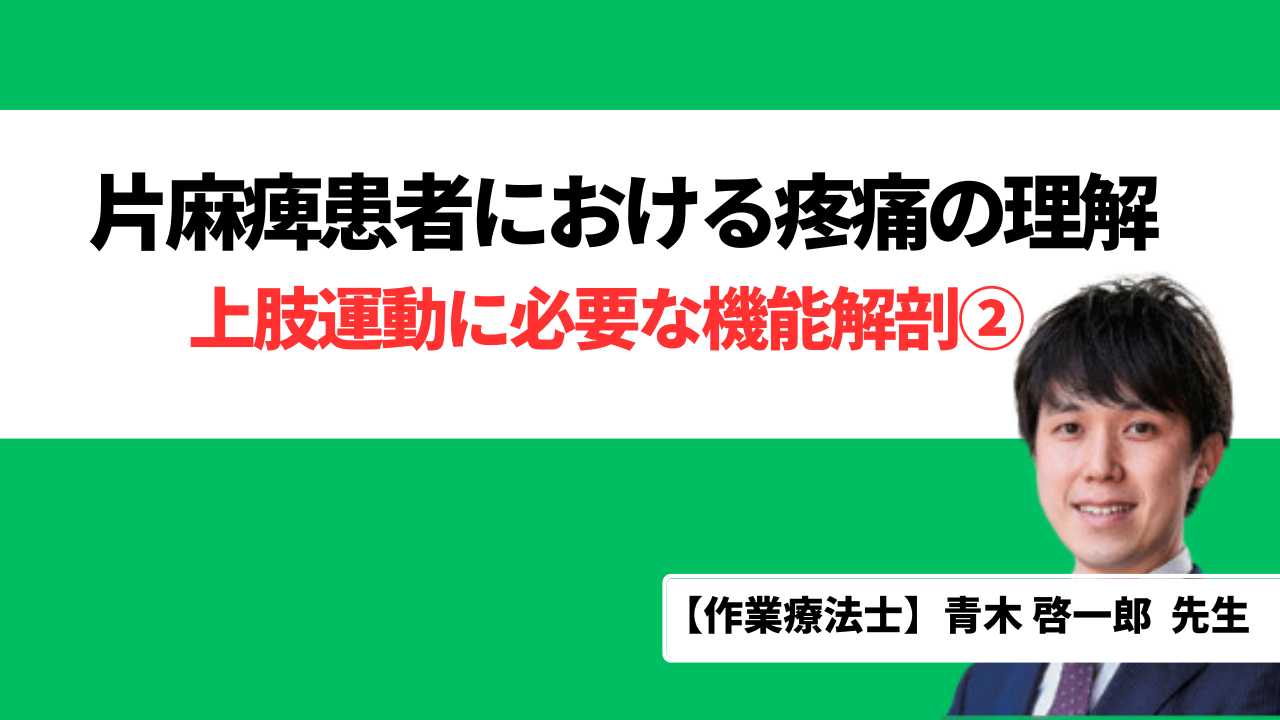 上肢運動に必要な機能解剖のポイント②